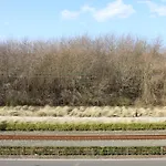 Avondzon