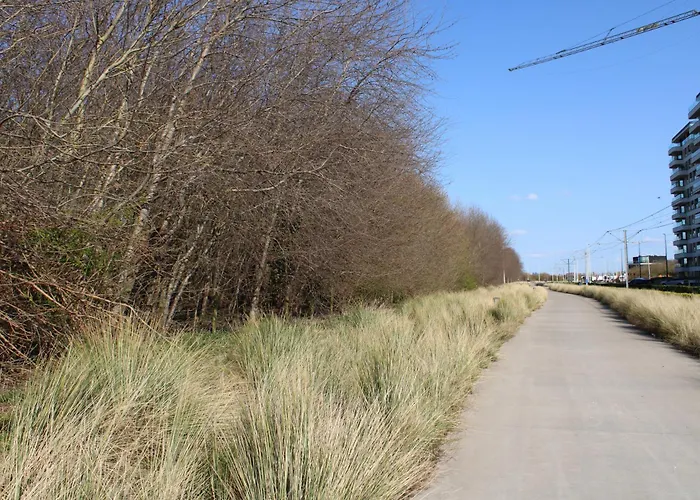 Avondzon * Blankenberge